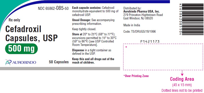 PACKAGE LABEL-PRINCIPAL DISPLAY PANEL - 500 mg (50 Capsule Bottle)