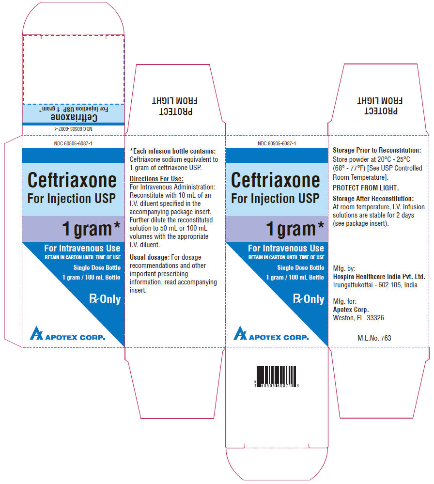 PRINCIPAL DISPLAY PANEL - 1 gram/100 mL Bottle Carton