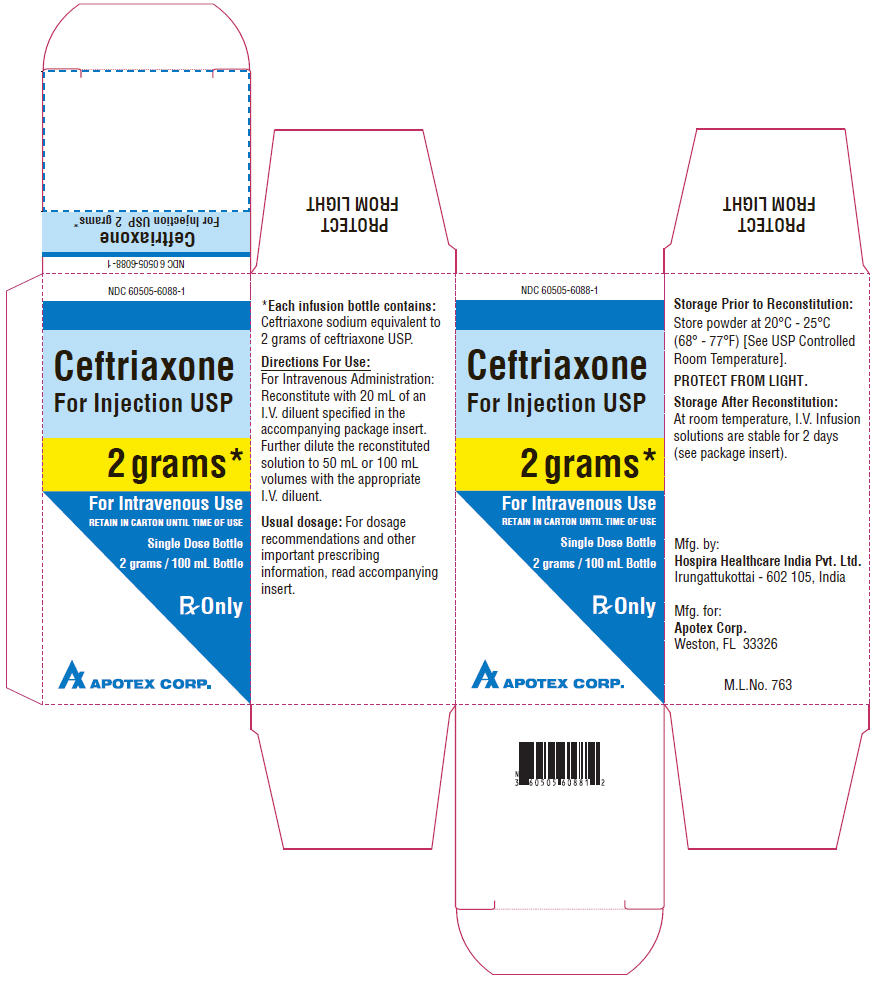 PRINCIPAL DISPLAY PANEL - 2 grams/100 mL Bottle Carton