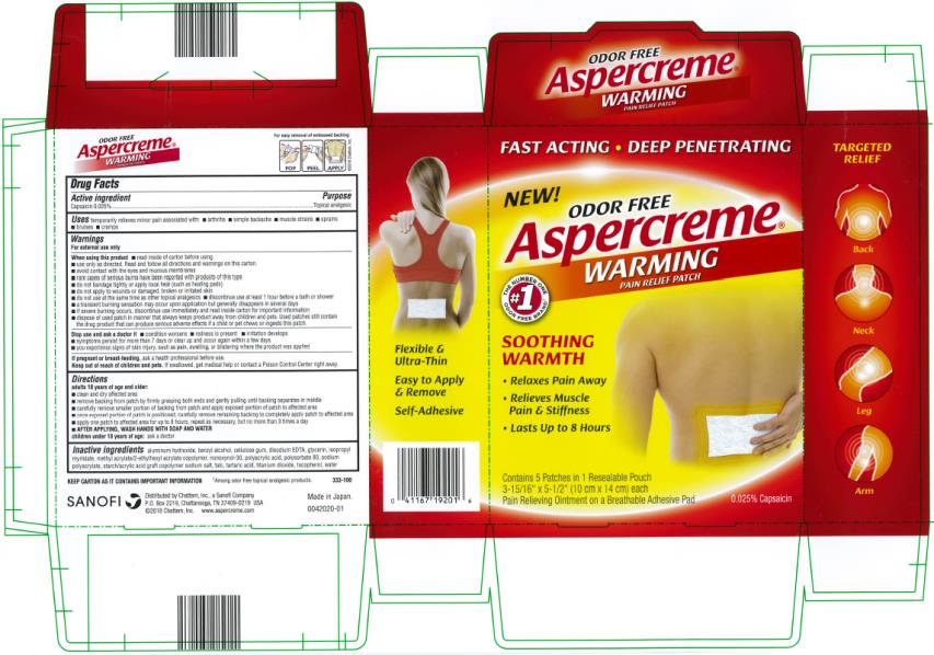 PRINCIPAL DISPLAY PANEL
Aspercreme
WARMING
PAIN RELIEF PATCH
Contains 5 patches in 1 resealable pouch 
0.025% Capsaicin 
