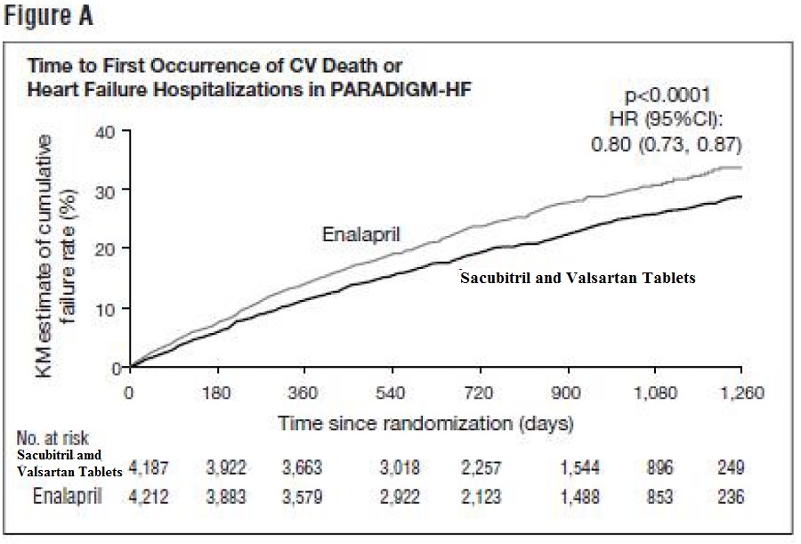 Figure 3: Kaplan-Meier Curves for the Primary Composite Endpoint (A), Cardiovascular Death (B), and Heart Failure Hospitalization (C)