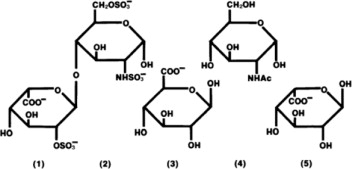 Structure of Heparin Sodium (Representative Subunits)
