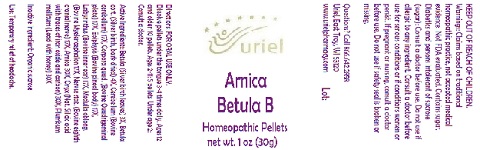 ArnicaBetulaBPellets