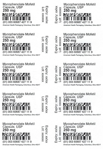 250 mg Mycophenolate Mofetil Capsule Blister