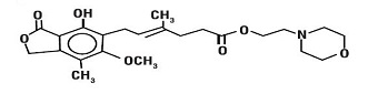 Structural Formula