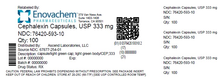 cephalexin-333mg