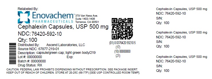 cephalexin-500mg