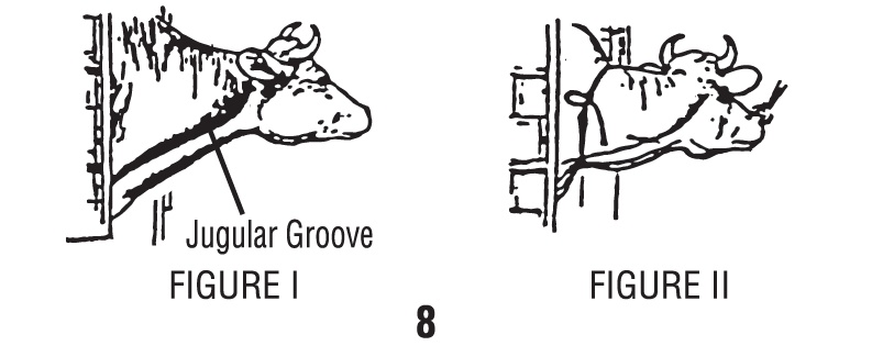 Injection Diagram