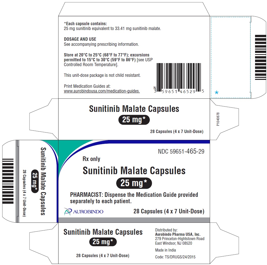 PACKAGE LABEL-PRINCIPAL DISPLAY PANEL - 25 mg 28 Capsules (4 x 7 Unit-Dose)