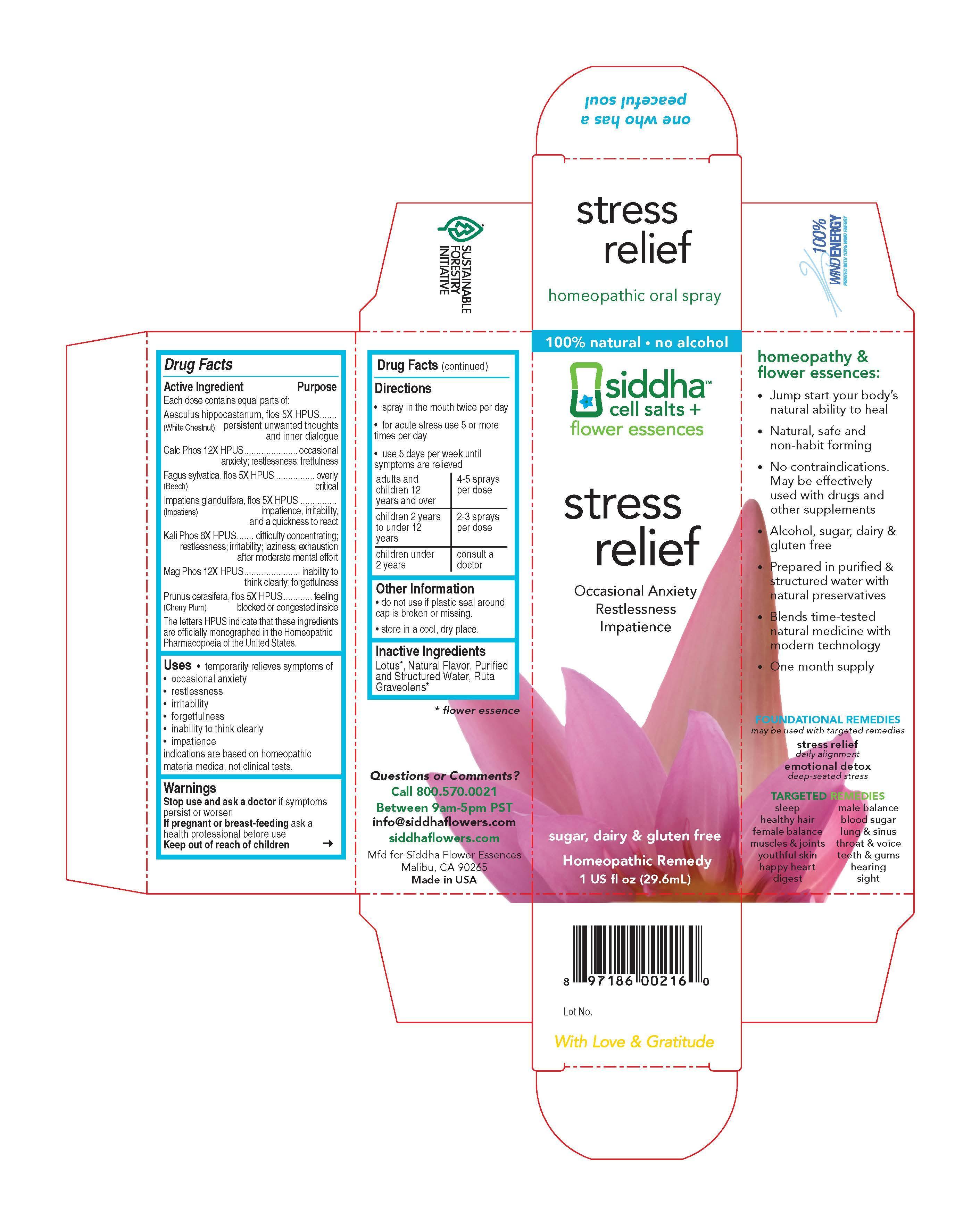 Stress Relief Carton