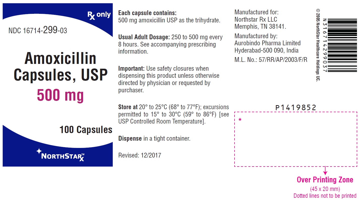 PACKAGE LABEL-PRINCIPAL DISPLAY PANEL - 500 mg (100 Capsule Bottle)