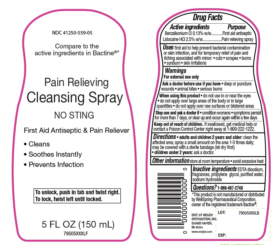 Meijer Pain Relieving Cleansing Spray