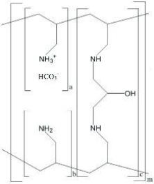 Figure 1. Chemical Structure of Sevelamer Carbonate