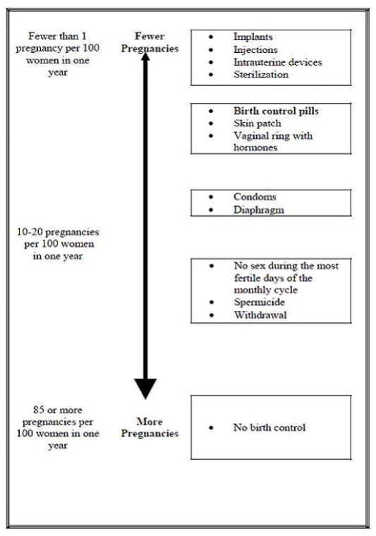 fig-1b