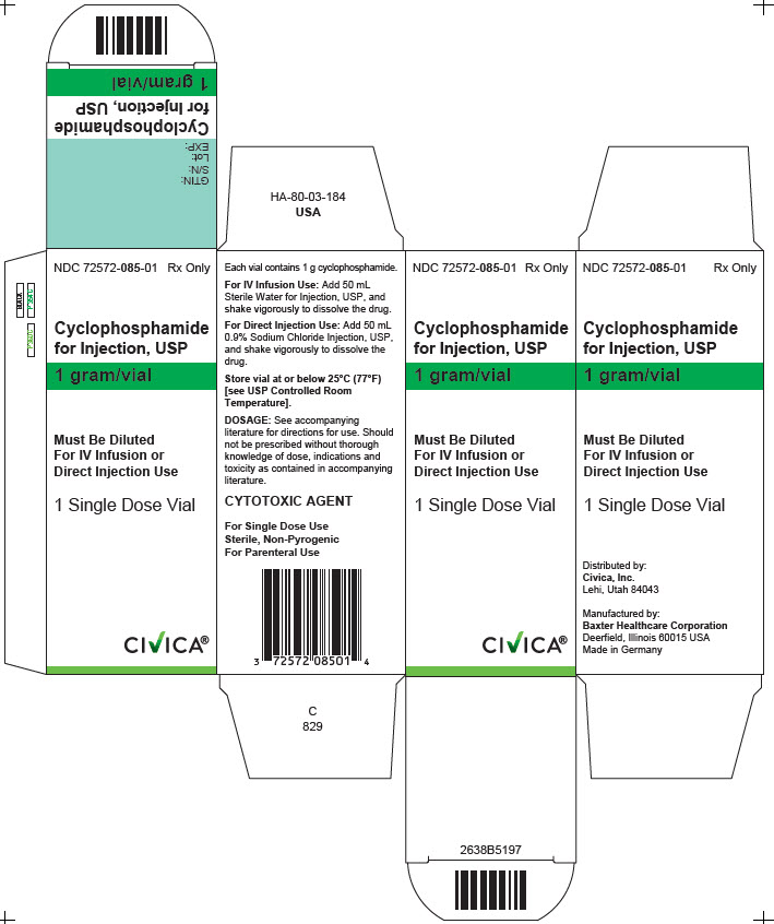 Representative Carton Label 72572-085-01 1g