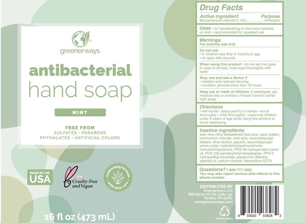 greenerways antibacterial hand soap kit