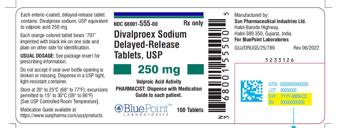 Divalproex Sod DR Tabs USP 250mg, 100 Count