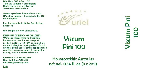 ViscumPini100Ampules