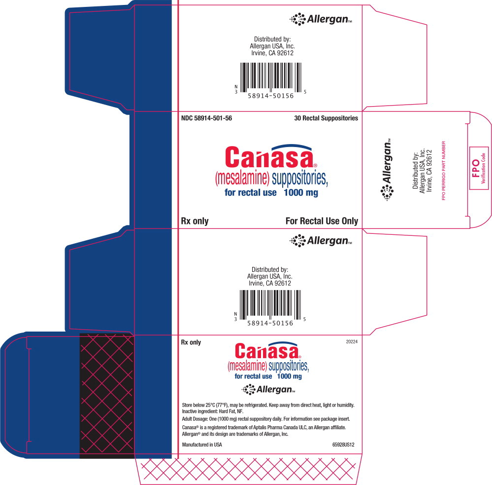 Principal Display Panel - Canasa Carton Label
