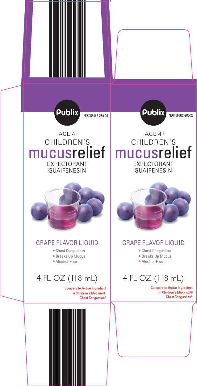 Publix Children's Mucus Relief image 1