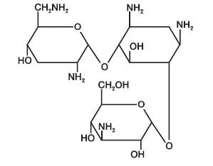 Tobramycin formula