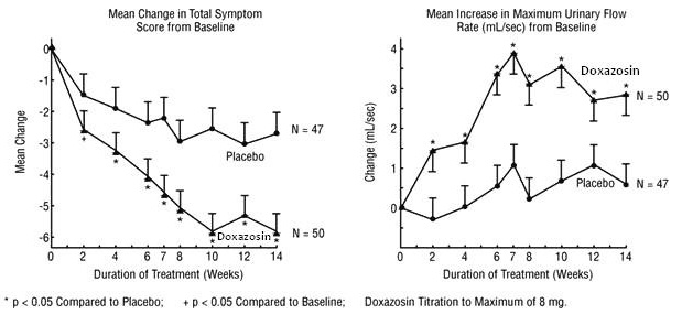 Figure 1 – Study 1