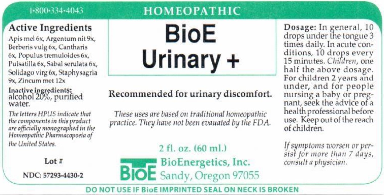 BioE Urinary