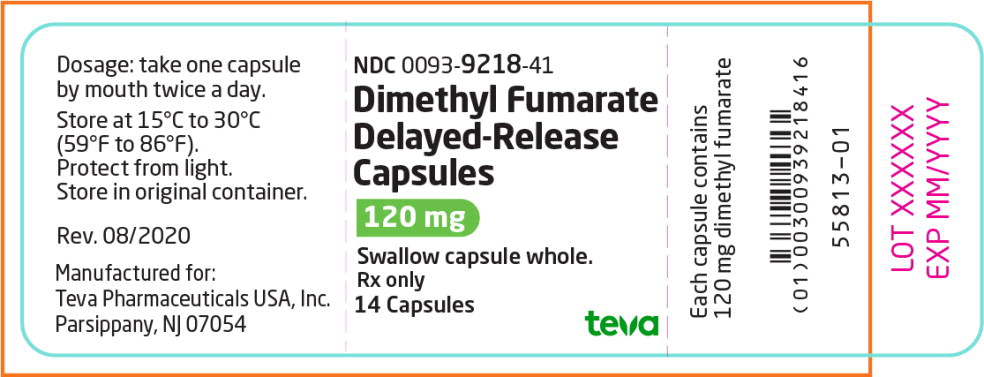 Principal Display Panel – 120 mg Bottle Label
