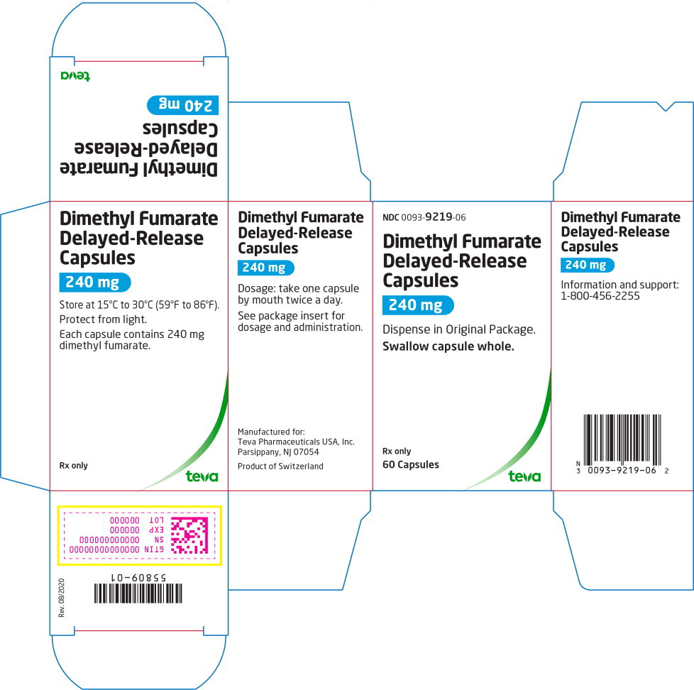 Principal Display Panel – 240 mg Carton Label

