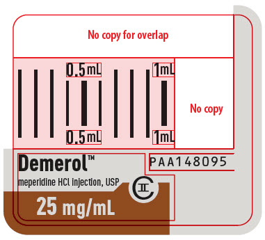 PRINCIPAL DISPLAY PANEL - 25 mg Syringe Label - PAA148095