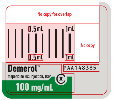 PRINCIPAL DISPLAY PANEL - 100 mg Syringe Label - PAA148385
