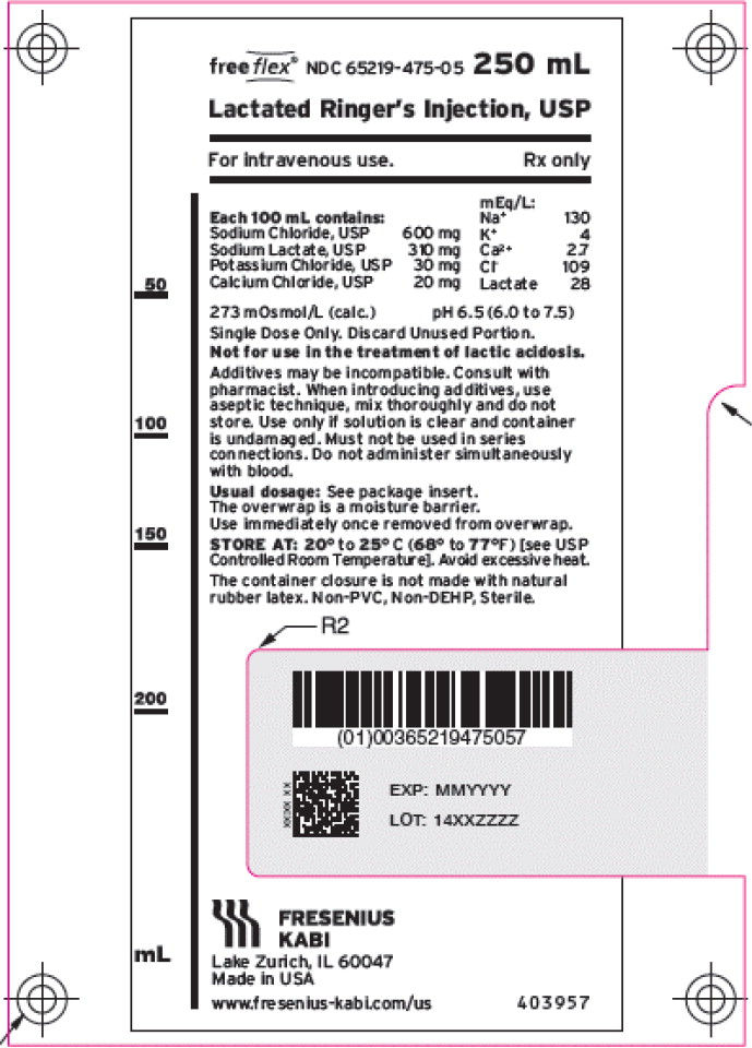 PACKAGE LABEL – PRINCIPAL DISPLAY – Lactated Ringer's Injection, USP 250 mL Bag
