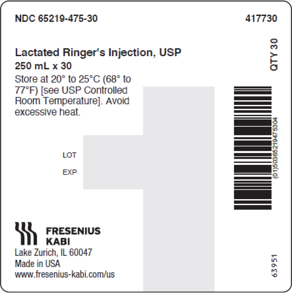 PACKAGE LABEL – PRINCIPAL DISPLAY – Lactated Ringer's Injection, USP 250 mL Shipper
