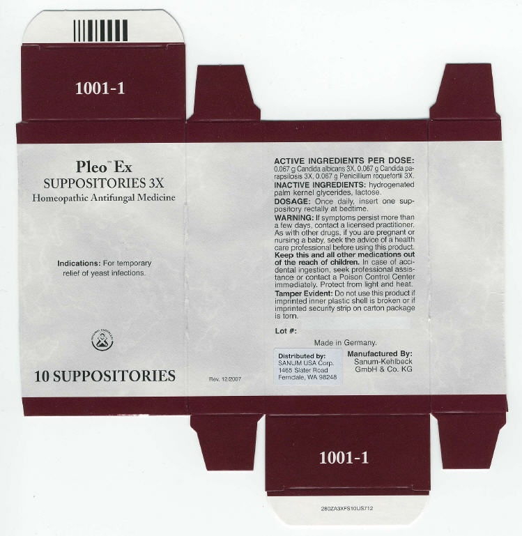 Principal Display Panel - 10 Suppositories Carton