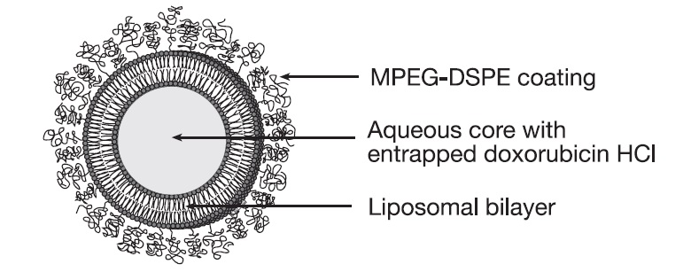 image-04-stealth-liposome