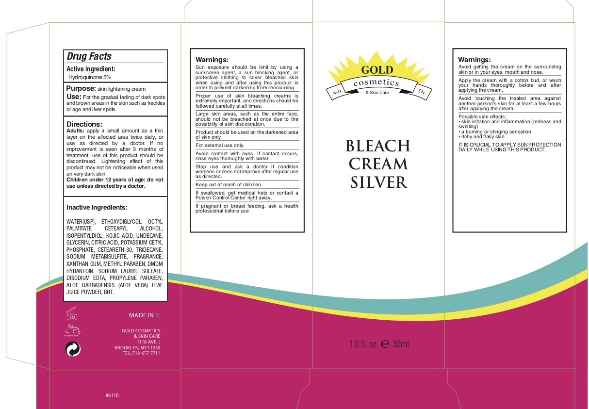 Bleach Silver 2019