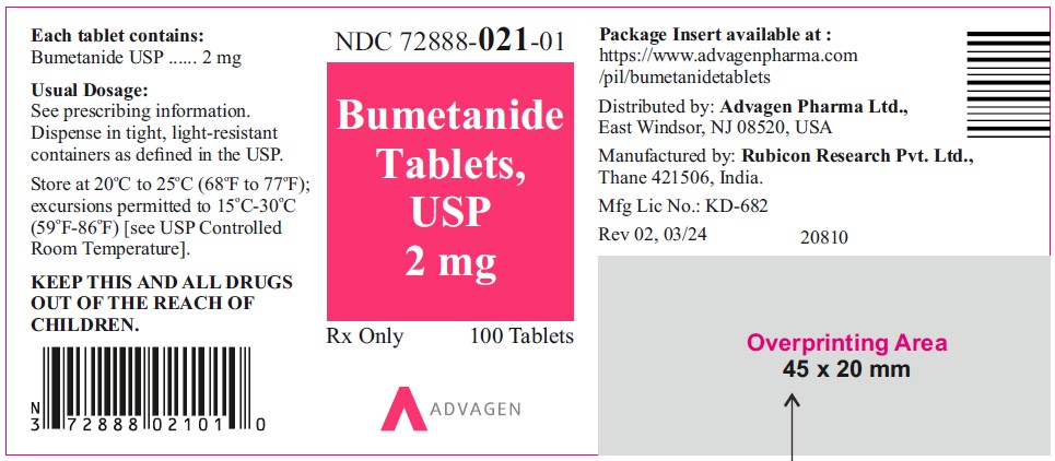 PRINCIPAL DISPLAY PANEL - Bumetanide Tablets USP 2 mg - 100 Counts Bottle