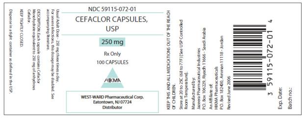 PRINCIPAL DISPLAY PANEL
NDC: <a href=/NDC/59115-072-01>59115-072-01</a>
Cefaclor Capsules
USP
250 mg
100 Capsules
Rx Only
