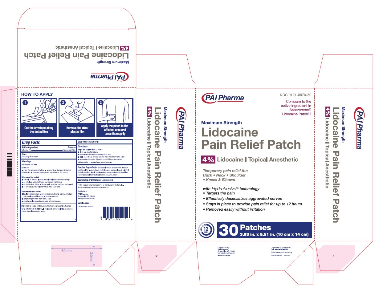 Lidocaine Pain Relief 30 Patches