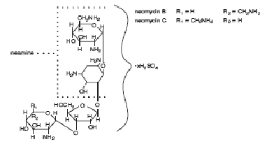 Neomycin Sulfate (structural formula)