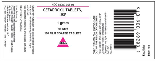 PRINCIPAL DISPLAY PANEL
NDC: <a href=/NDC/68289-006-01>68289-006-01</a>
Cefadroxil Tablets
USP
1 Gram
100 Film coated Tablets
Rx Only
