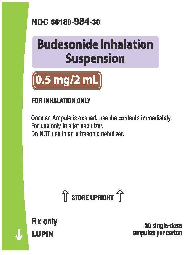 Budesonide 30 ct Carton