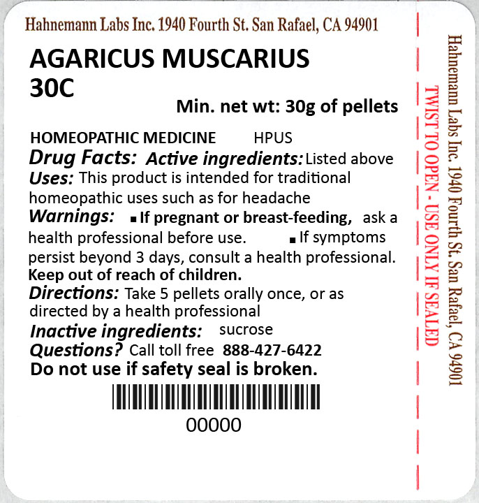 Agaricus muscarius 30C 30g