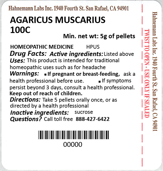 Agaricus muscarius 100C 5g