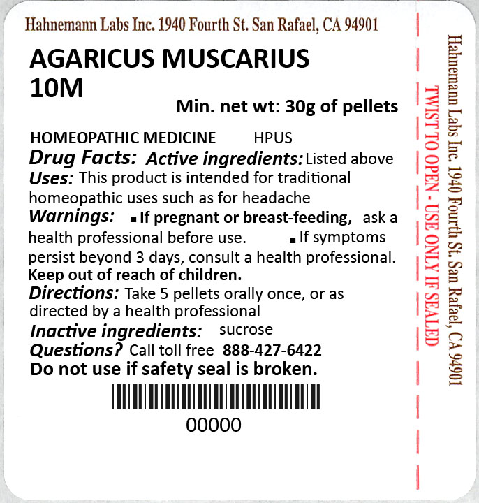 Agaricus muscarius 10M 30g