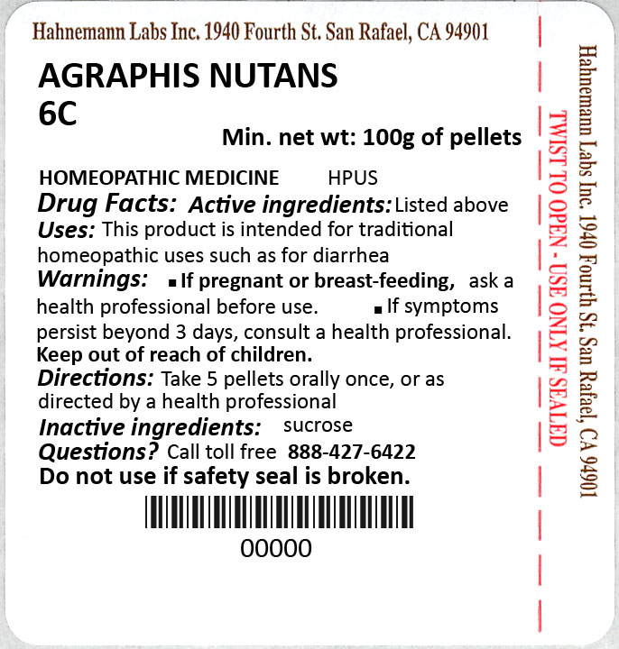 Agraphis nutans 6C 100g