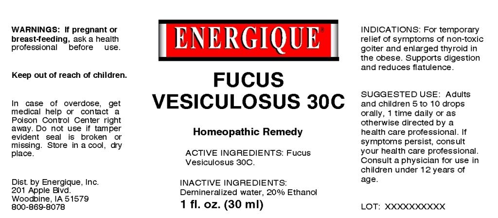 Fucus Vesiculosus 30C