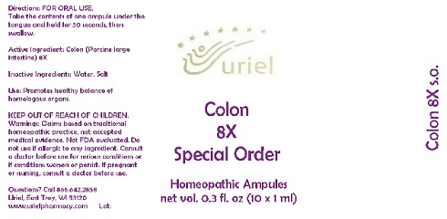 Colon8SpecialOrderAmpules