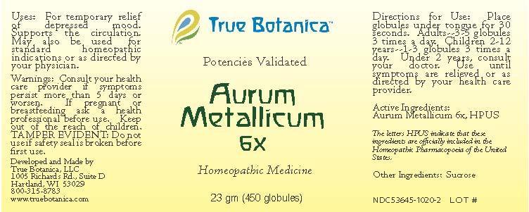 Aurum Metallicum 6X