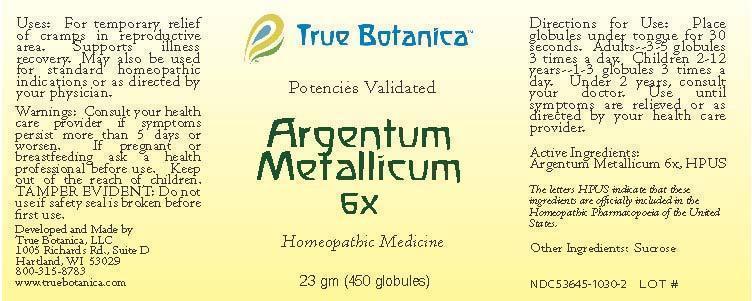 Argentum Metallicum 6X